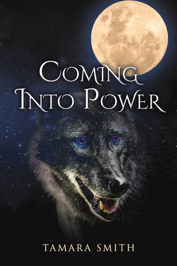 Coming Into Power (A Mikayla Tale Book 1) By Tamara D Smith